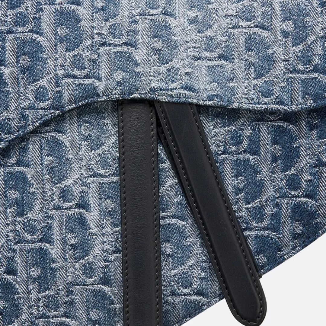 DIOR-SADDLE 4