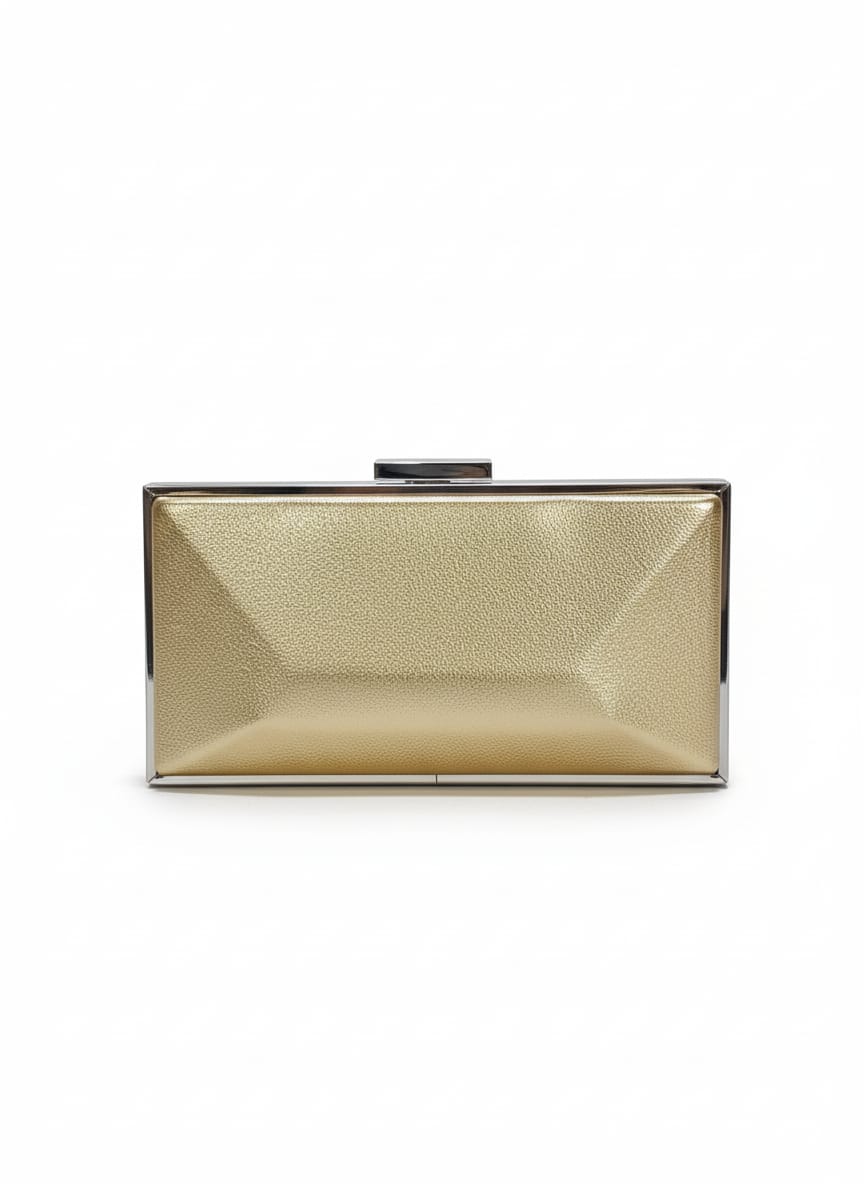 SLEEK Clutch 1