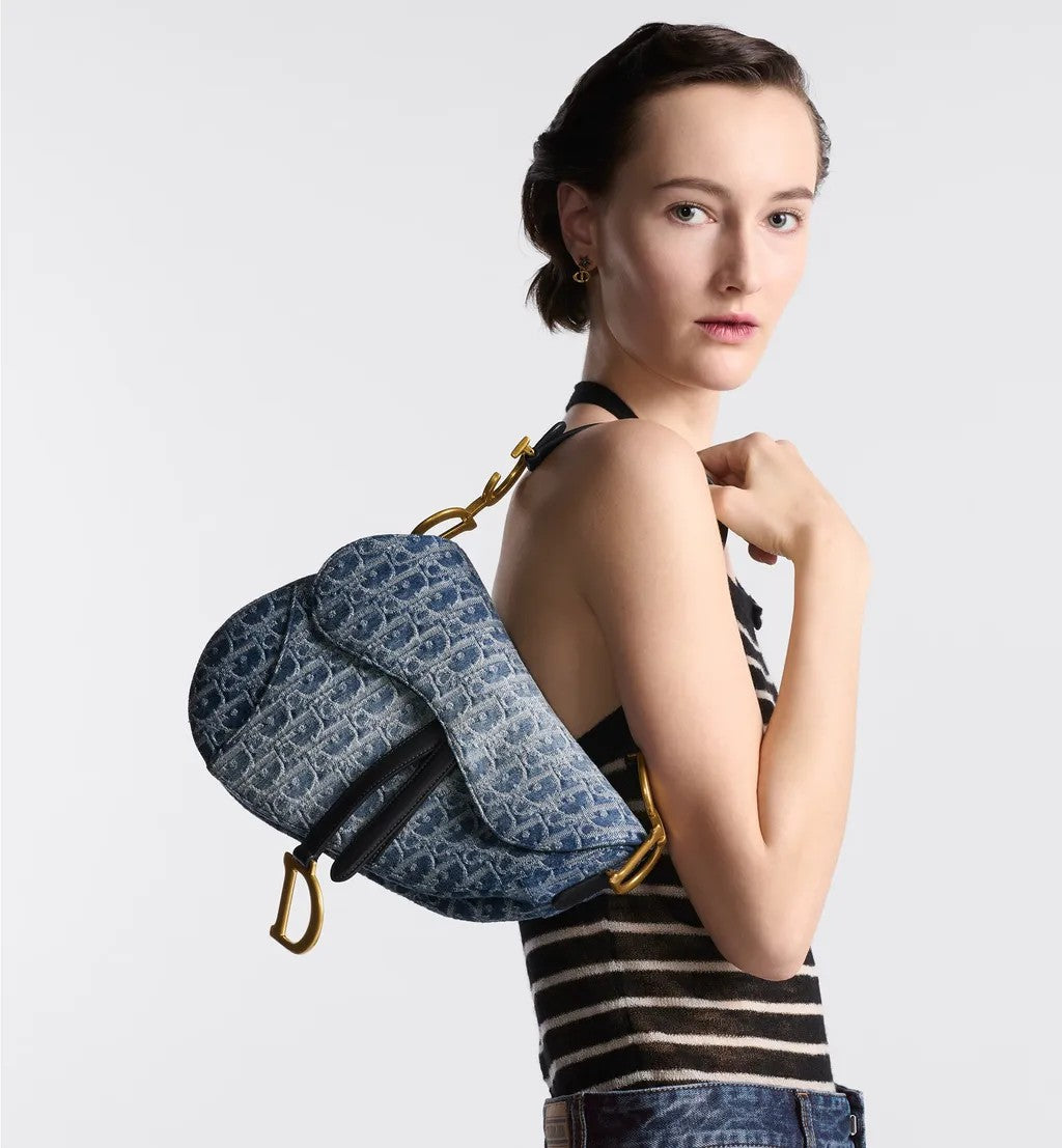 DIOR-SADDLE 1