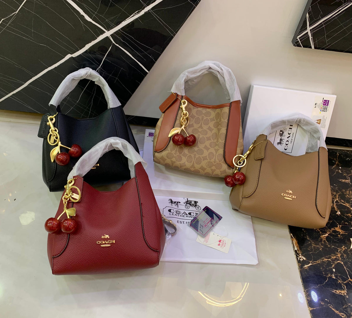 COACH HandBag 5