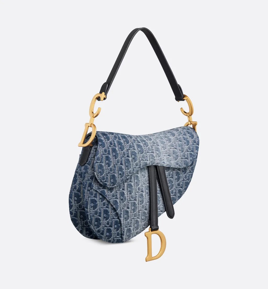 DIOR-SADDLE 3