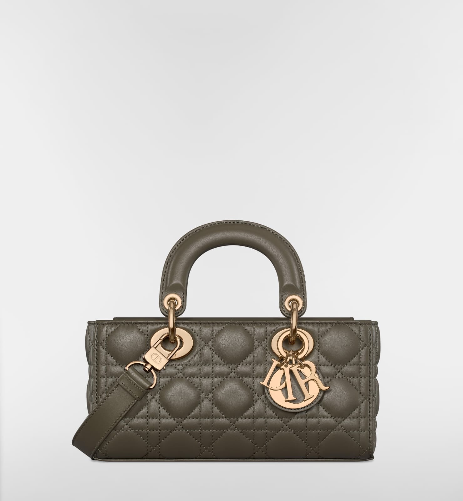 mall Lady DIOR-Joy Bag 6