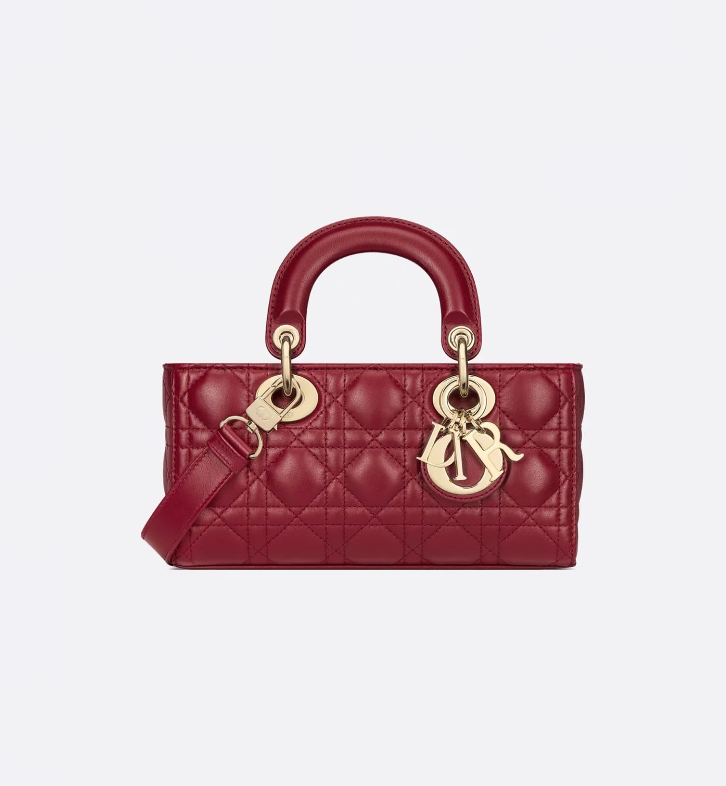 mall Lady DIOR-Joy Bag 7