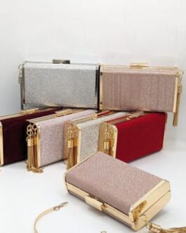 Shimmery CLUTCH