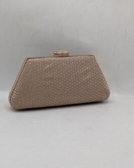 SHIMMERY Clutch