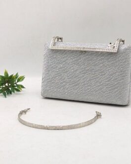 Shimmery Clutch